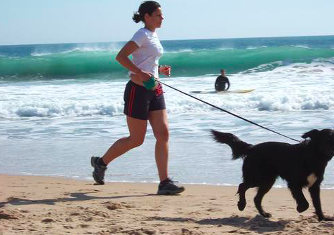 The Breakdown: Why Dogs Need Exercise [5 REASONS]