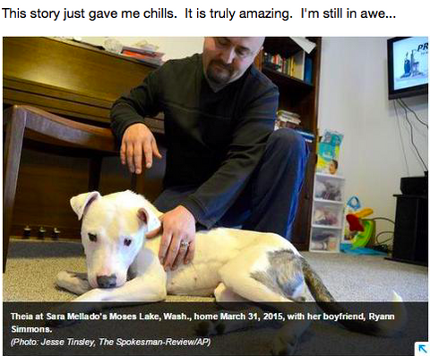 Miracle Dog Has The Most Amazing Survival Story [NEWS]