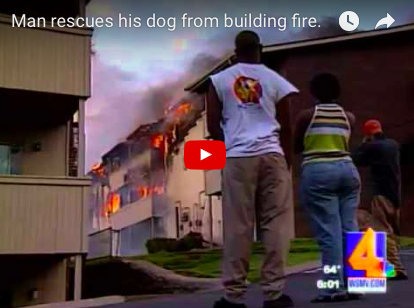 Man Arrested for Rescuing Dog From Building Fire [NEWS & VIDEO]