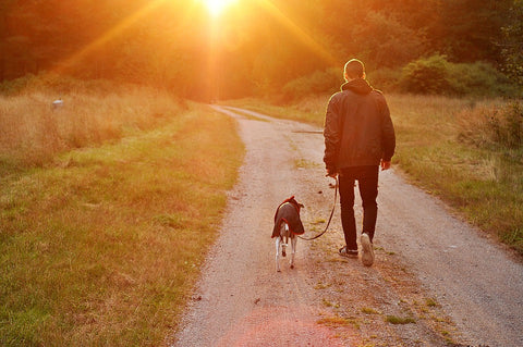 4 Tips for Mastering Your Dog Walk (And Any Other Behavior You Want to Condition)