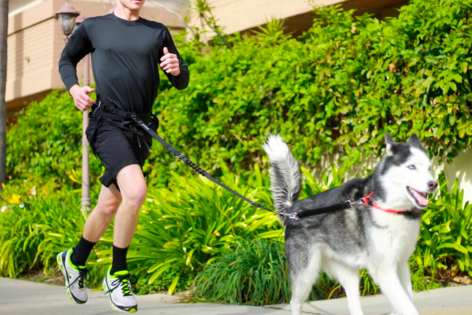 In The Market For The Best Dog Gear Ever? SportLeash Has Your Back!