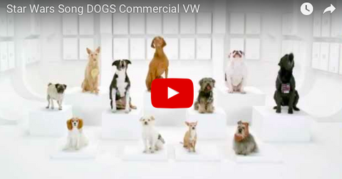 Dogs Barking Star Wars Song In VW Commercial [VIDEO]