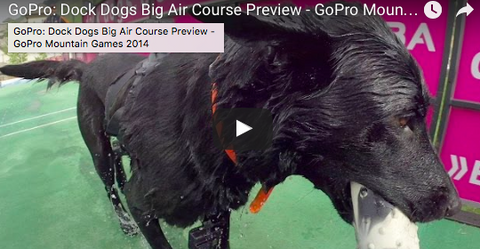 Athletic Pups Creating a Splash at this Years GoPro Mountain Games [VIDEO]
