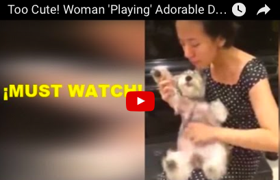 Woman Plays Dog Like a Guitar [VIDEO]