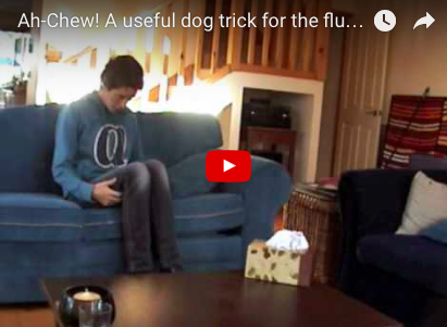 Great Dog Trick - 'Fetch Me a Tissue' [VIDEO]