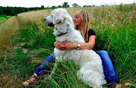 4 Do's and Don'ts For Every Dog Owner