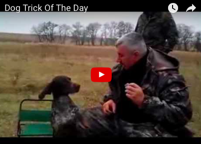 Hunter's Dog Masters Best Trick of All Time! [VIDEO]
