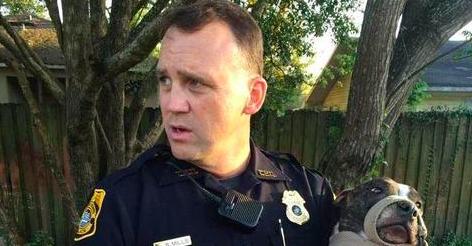Florida Police Save Dog Tied to Train Tracks