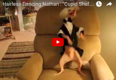 This Dog Has That Friday Feelin'! [VIDEO]