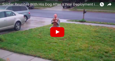 Dog Couldn't Be More Excited to Reunite With Returned Soldier [VIDEO]