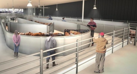 JFK Airport to Expand Pet Facilities