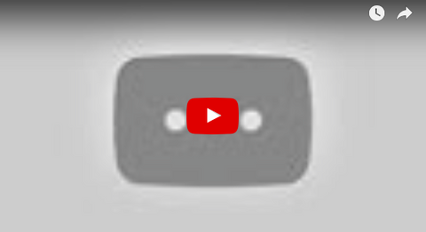 Funny Suzuki 50 Cent Dog Commercial [VIDEO]