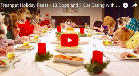 Freshpet Holiday Feast [VIDEO]