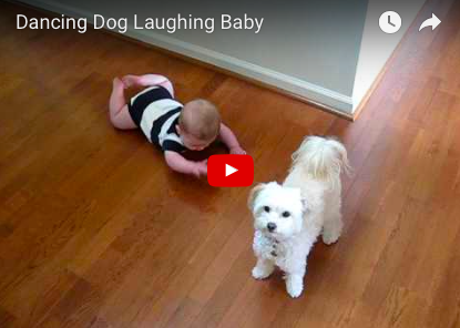 Dog Dances, Baby Cracks Up! [VIDEO]
