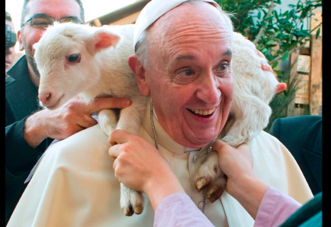 Dog Owners Rejoice!  Pope Francis Says We Will See Our Dogs In Heaven