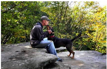 The 10 Best Dog-Friendly National Parks