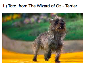 5 Awesome Movie Dogs
