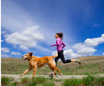 Why Dogs are the Perfect Running Partner