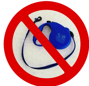 The Top 5 Reasons Not to Use a Retractable Leash