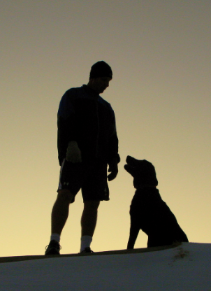 How to Choose the Best Running Dog
