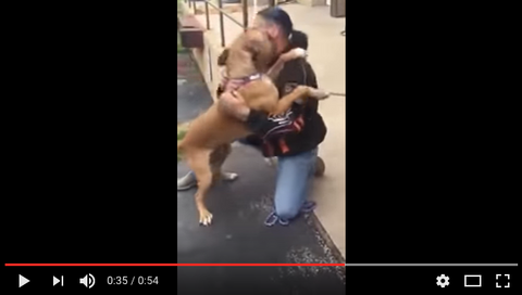 Pawesome Reunion Caught on Video! [VIDEO]