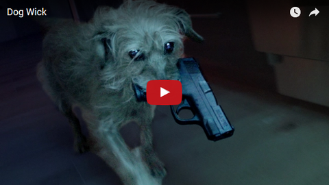 John Wick Spoof: Dog Wick [VIDEO]