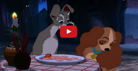 5 Of The Greatest Dog Featuring Movie Scenes Ever [VIDEOS]