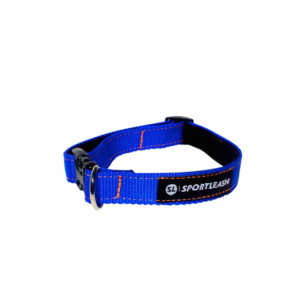 Blue Neon Orange Neoprene Dog Collar