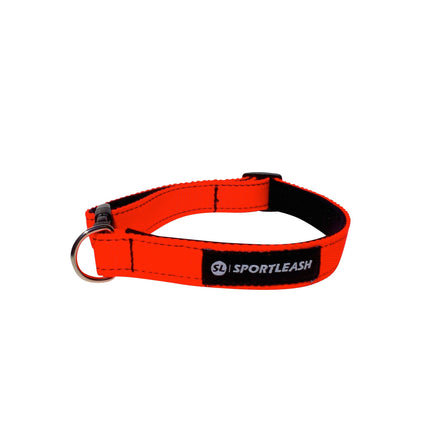 Neon Orange Neoprene Dog Collar