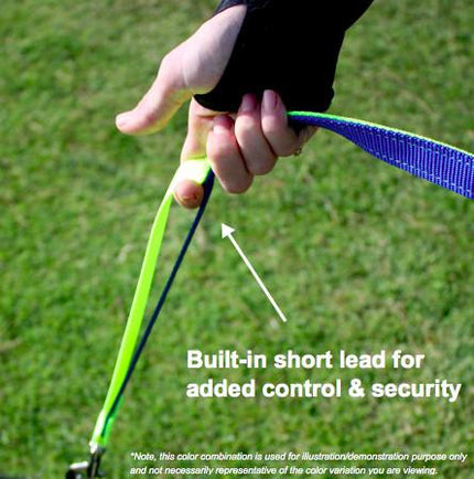 Short Lead Dog Leash Product Features