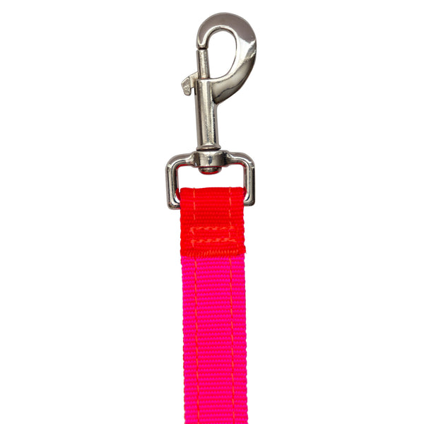 Dog Leash Coupler Splitter - Neon Orange Neon Pink SportLeash