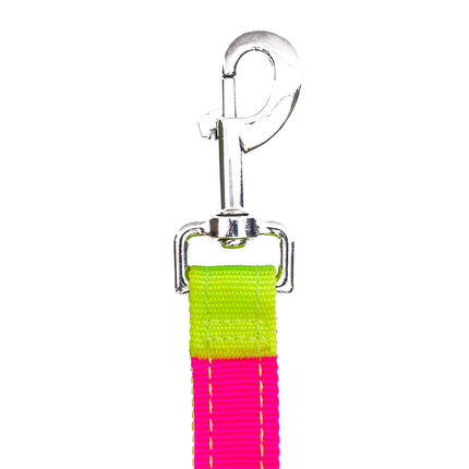 Neon Yellow Neon Pink Dog Leash Sportleash