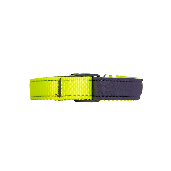 Neon Yellow Neoprene Dog Collar