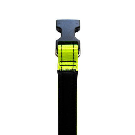 Neon Yellow Neoprene Dog Collar