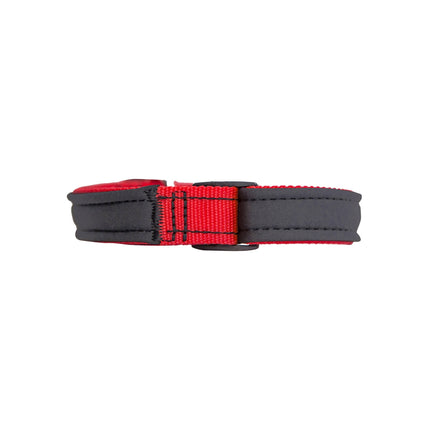 Neon Orange Neoprene Dog Collar