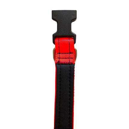 Neon Orange Neoprene Dog Collar