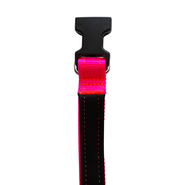 Neon Pink Neon Orange Neoprene Dog Collar