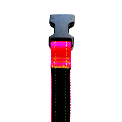 Neon Pink Neon Yellow Neoprene Dog Collar