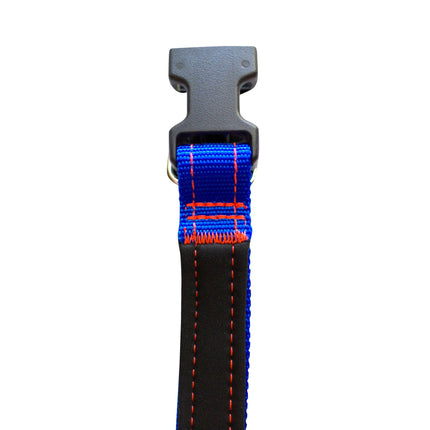 Royal Blue Neon Orange Neoprene Dog Collar