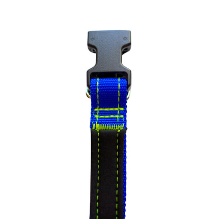 Royal Blue Neon Yellow Neoprene Dog Collar