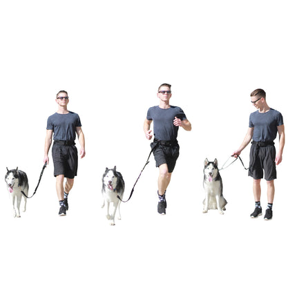 Running Pack Dog Leash Bungee Leash Short Lead